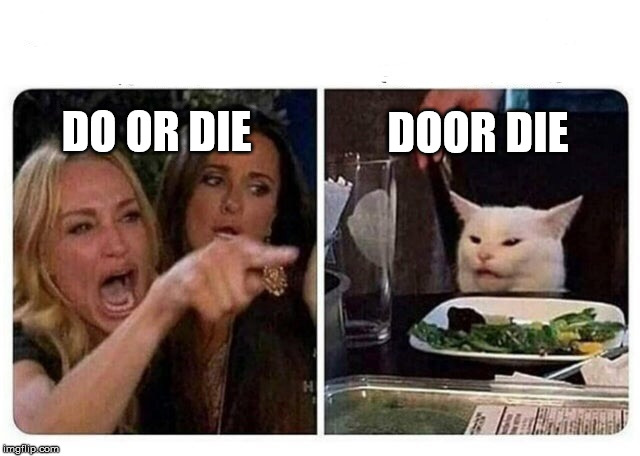 Cat at Dinner | DOOR DIE; DO OR DIE | image tagged in cat at dinner | made w/ Imgflip meme maker