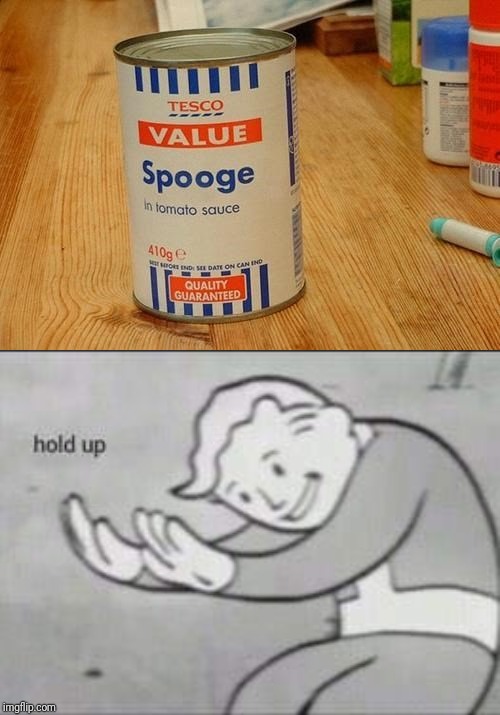 image tagged in fallout hold up | made w/ Imgflip meme maker