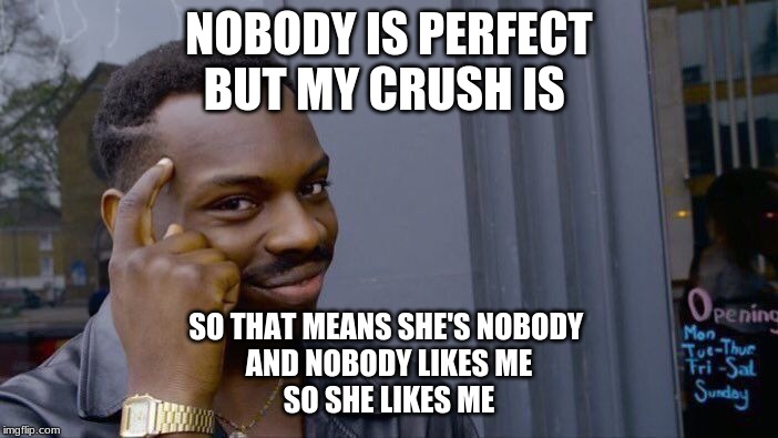 Roll Safe Think About It | NOBODY IS PERFECT
BUT MY CRUSH IS; SO THAT MEANS SHE'S NOBODY 
AND NOBODY LIKES ME
SO SHE LIKES ME | image tagged in memes,roll safe think about it | made w/ Imgflip meme maker
