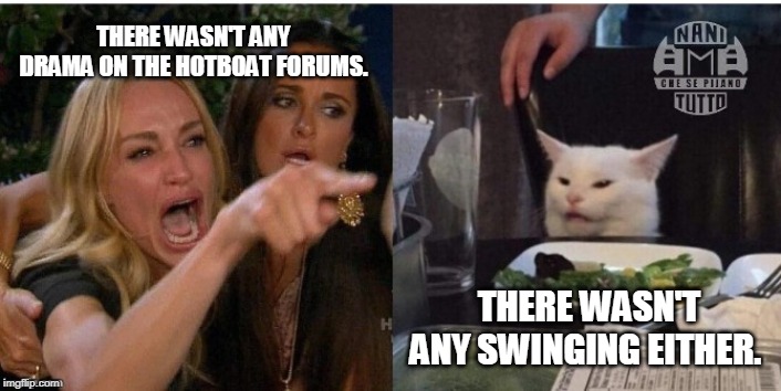 white cat table | THERE WASN'T ANY DRAMA ON THE HOTBOAT FORUMS. THERE WASN'T ANY SWINGING EITHER. | image tagged in white cat table | made w/ Imgflip meme maker