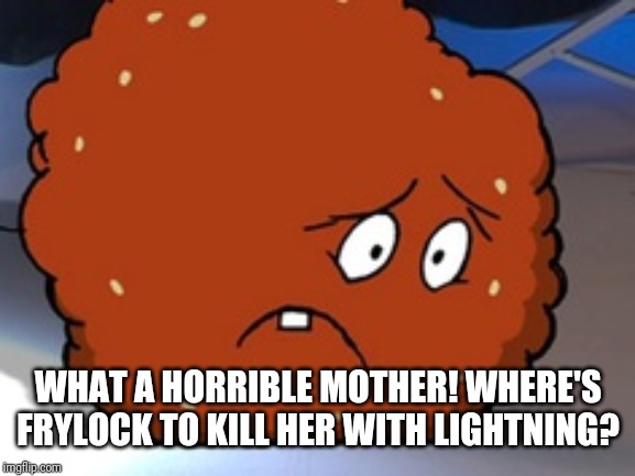 Meatwad | WHAT A HORRIBLE MOTHER! WHERE'S FRYLOCK TO KILL HER WITH LIGHTNING? | image tagged in meatwad | made w/ Imgflip meme maker