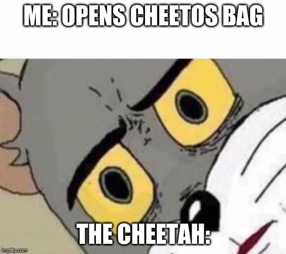 Tom Cat Unsettled Close up | ME: OPENS CHEETOS BAG; THE CHEETAH: | image tagged in tom cat unsettled close up | made w/ Imgflip meme maker