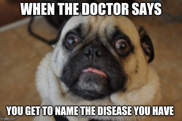 Pug worried | WHEN THE DOCTOR SAYS; YOU GET TO NAME THE DISEASE YOU HAVE | image tagged in pug worried,memes,doctor,disease | made w/ Imgflip meme maker