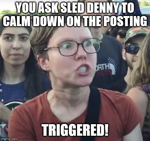 Triggered feminist | YOU ASK SLED DENNY TO CALM DOWN ON THE POSTING; TRIGGERED! | image tagged in triggered feminist | made w/ Imgflip meme maker