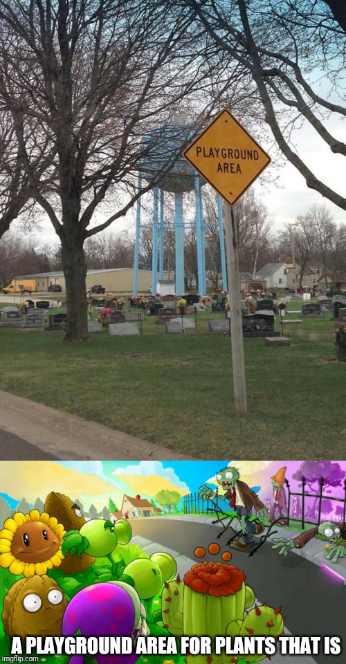 The undead better look out for the Cherry Bombs and Potato Mines |  A PLAYGROUND AREA FOR PLANTS THAT IS | image tagged in stupid signs,plants vs zombies,pvz,memes | made w/ Imgflip meme maker