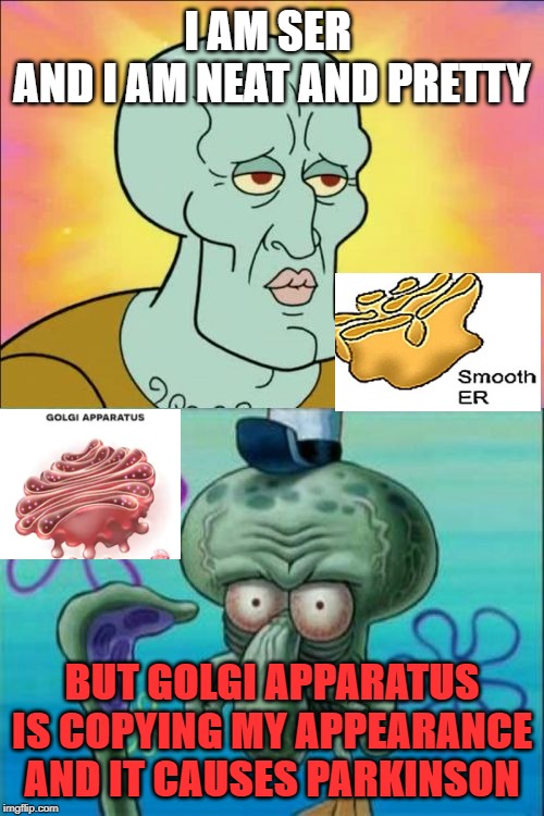 Squidward Meme | I AM SER 
AND I AM NEAT AND PRETTY; BUT GOLGI APPARATUS IS COPYING MY APPEARANCE AND IT CAUSES PARKINSON | image tagged in memes,squidward | made w/ Imgflip meme maker