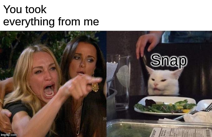 Woman Yelling At Cat | You took everything from me; Snap | image tagged in memes,woman yelling at cat | made w/ Imgflip meme maker