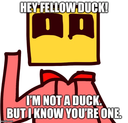 HEY FELLOW DUCK! I’M NOT A DUCK. BUT I KNOW YOU’RE ONE. | image tagged in humanoid bloxkly | made w/ Imgflip meme maker