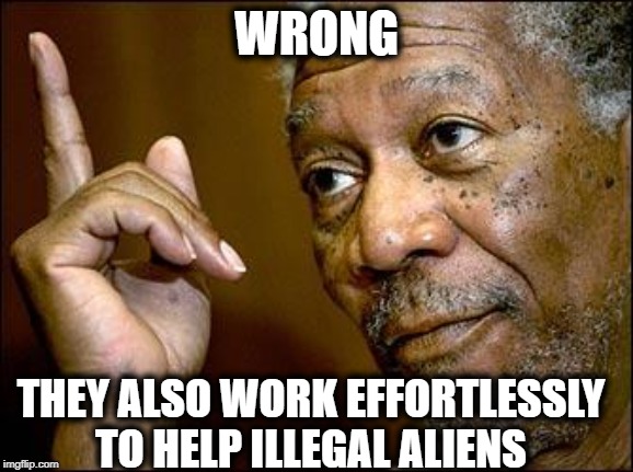 This Morgan Freeman | WRONG THEY ALSO WORK EFFORTLESSLY TO HELP ILLEGAL ALIENS | image tagged in this morgan freeman | made w/ Imgflip meme maker