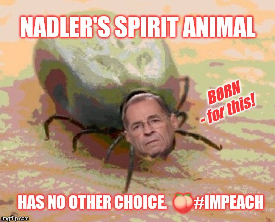 Nadler's Spirit Animal on Impeachment | NADLER'S SPIRIT ANIMAL; BORN - for this! HAS NO OTHER CHOICE.  🍑#IMPEACH | image tagged in trump impeachment,deep state,coup,george carlin,politicians suck,gitmo | made w/ Imgflip meme maker
