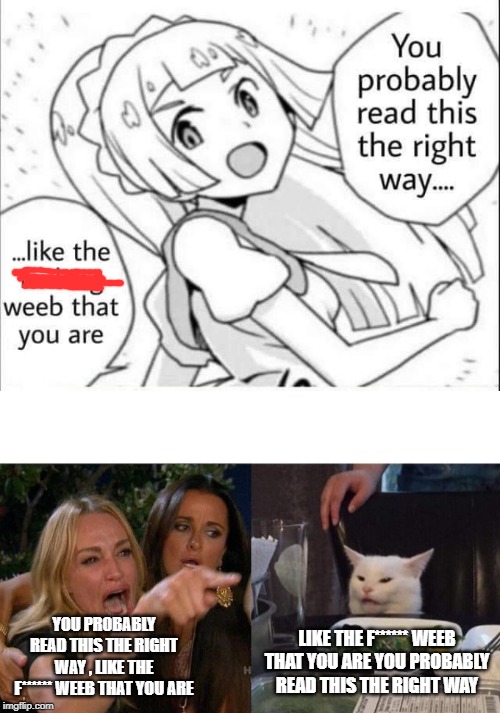 YOU PROBABLY READ THIS THE RIGHT WAY , LIKE THE F****** WEEB THAT YOU ARE; LIKE THE F****** WEEB THAT YOU ARE YOU PROBABLY READ THIS THE RIGHT WAY | image tagged in memes,woman yelling at cat | made w/ Imgflip meme maker