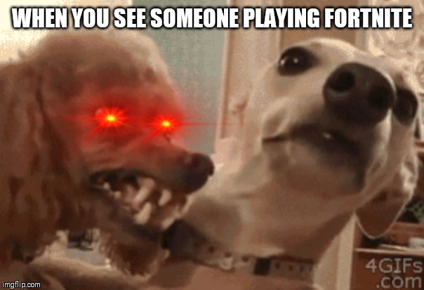 Angry Doog | WHEN YOU SEE SOMEONE PLAYING FORTNITE | image tagged in angry doog | made w/ Imgflip meme maker