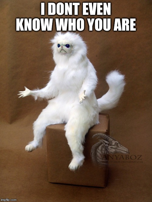 Persian Cat Room Guardian Single Meme | I DONT EVEN KNOW WHO YOU ARE | image tagged in memes,persian cat room guardian single | made w/ Imgflip meme maker