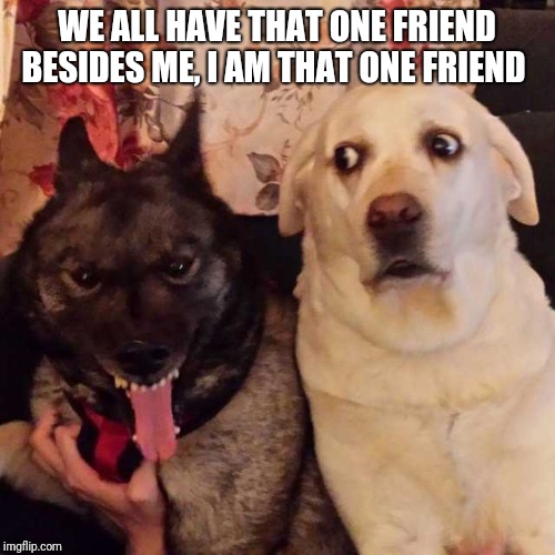 worried at evil dog | WE ALL HAVE THAT ONE FRIEND BESIDES ME, I AM THAT ONE FRIEND | image tagged in worried at evil dog | made w/ Imgflip meme maker