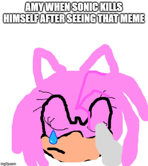 Blank White Template | AMY WHEN SONIC KILLS HIMSELF AFTER SEEING THAT MEME | image tagged in blank white template | made w/ Imgflip meme maker