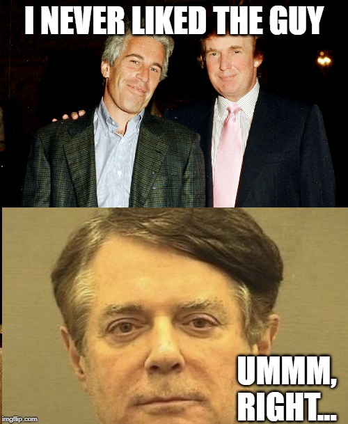 You're a great guy, until you're not | I NEVER LIKED THE GUY; UMMM, RIGHT... | image tagged in epstein didn't kill himself,wool pulled over eyes,nothing to see here,trump,obvious | made w/ Imgflip meme maker