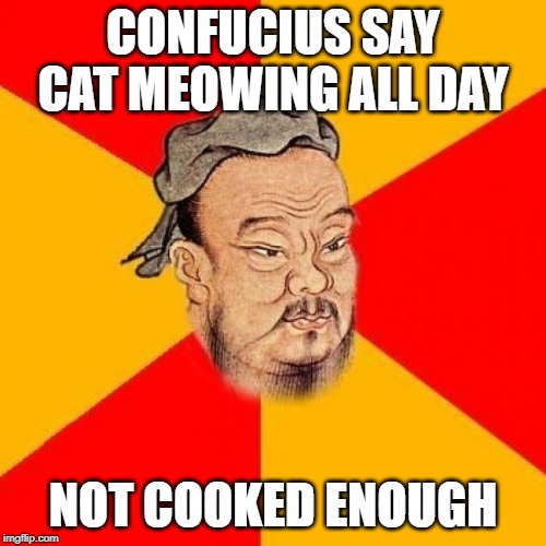Confucius Says | CONFUCIUS SAY
CAT MEOWING ALL DAY; NOT COOKED ENOUGH | image tagged in confucius says | made w/ Imgflip meme maker