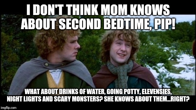 pippin second breakfast | I DON'T THINK MOM KNOWS ABOUT SECOND BEDTIME, PIP! WHAT ABOUT DRINKS OF WATER, GOING POTTY, ELEVENSIES, NIGHT LIGHTS AND SCARY MONSTERS? SHE KNOWS ABOUT THEM...RIGHT? | image tagged in pippin second breakfast | made w/ Imgflip meme maker