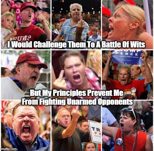 I Would Challenge Them To A Battle Of Wits But My Principles Prevent Me 
From Fighting Unarmed Opponents | made w/ Imgflip meme maker