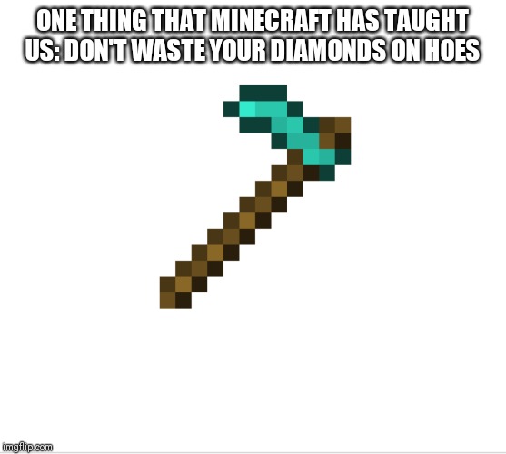 ONE THING THAT MINECRAFT HAS TAUGHT US: DON'T WASTE YOUR DIAMONDS ON HOES | image tagged in funny,hoes | made w/ Imgflip meme maker