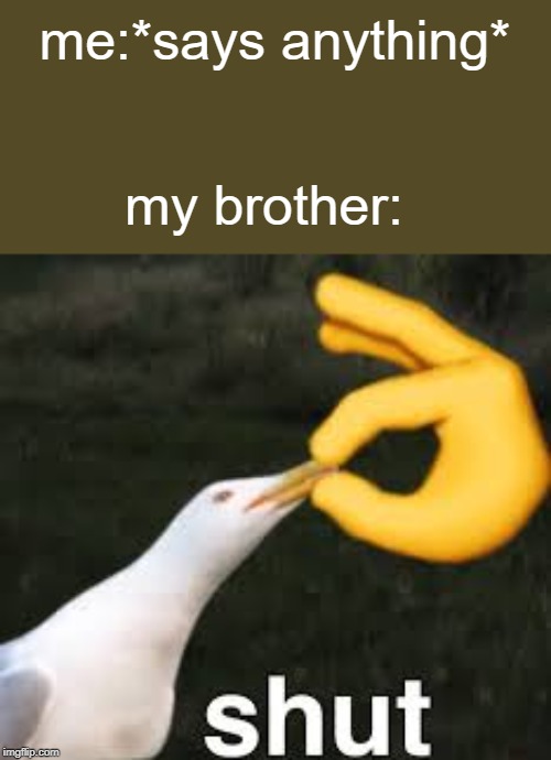 Shut Bird | me:*says anything*; my brother: | image tagged in shut bird | made w/ Imgflip meme maker