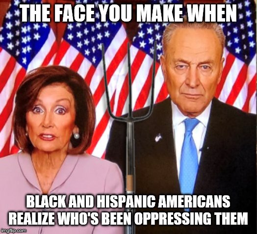 35%? 50%? Doh! Fire up the private jets Nancy! | THE FACE YOU MAKE WHEN; BLACK AND HISPANIC AMERICANS REALIZE WHO'S BEEN OPPRESSING THEM | image tagged in funny memes,politics,nancy pelosi,chuck schumer,government corruption | made w/ Imgflip meme maker
