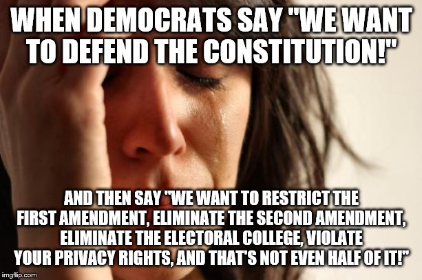 First World Problems Meme | WHEN DEMOCRATS SAY "WE WANT TO DEFEND THE CONSTITUTION!"; AND THEN SAY "WE WANT TO RESTRICT THE FIRST AMENDMENT, ELIMINATE THE SECOND AMENDMENT, ELIMINATE THE ELECTORAL COLLEGE, VIOLATE YOUR PRIVACY RIGHTS, AND THAT'S NOT EVEN HALF OF IT!" | image tagged in memes,first world problems | made w/ Imgflip meme maker