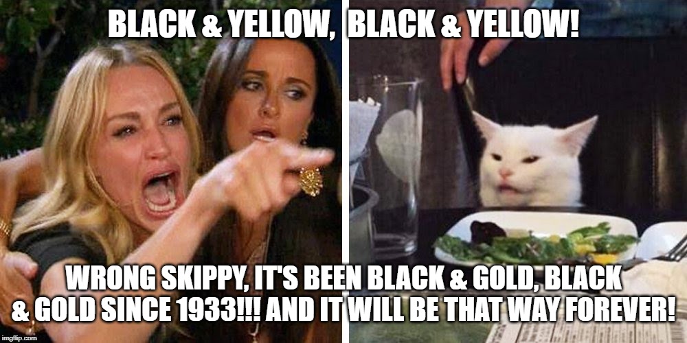 Smudge the cat | BLACK & YELLOW,  BLACK & YELLOW! WRONG SKIPPY, IT'S BEEN BLACK & GOLD, BLACK & GOLD SINCE 1933!!! AND IT WILL BE THAT WAY FOREVER! | image tagged in smudge the cat | made w/ Imgflip meme maker