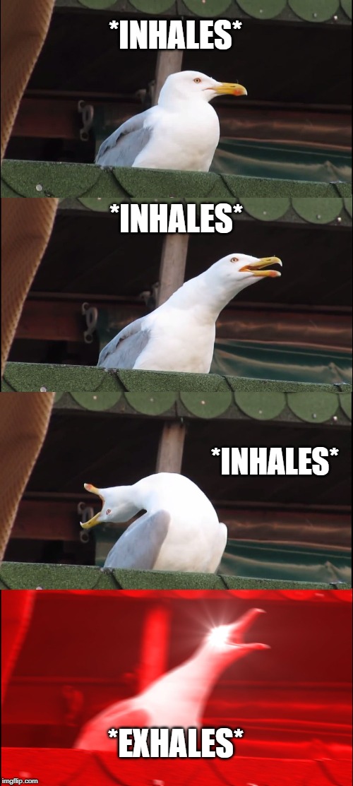 Inhaling Seagull | *INHALES*; *INHALES*; *INHALES*; *EXHALES* | image tagged in memes,inhaling seagull | made w/ Imgflip meme maker