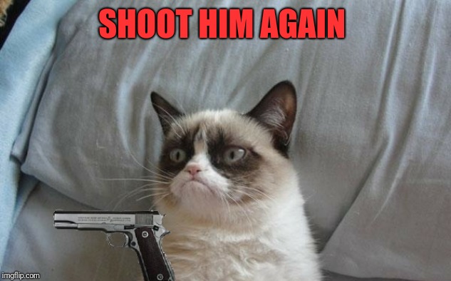 Grumpy cat gun | SHOOT HIM AGAIN | image tagged in grumpy cat gun | made w/ Imgflip meme maker