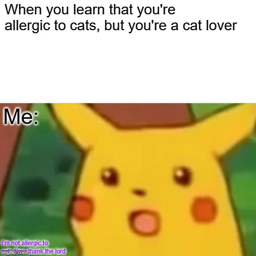 Surprised Pikachu | When you learn that you're allergic to cats, but you're a cat lover; Me:; I'm not allergic to cats thou,thank the lord | image tagged in memes,surprised pikachu | made w/ Imgflip meme maker