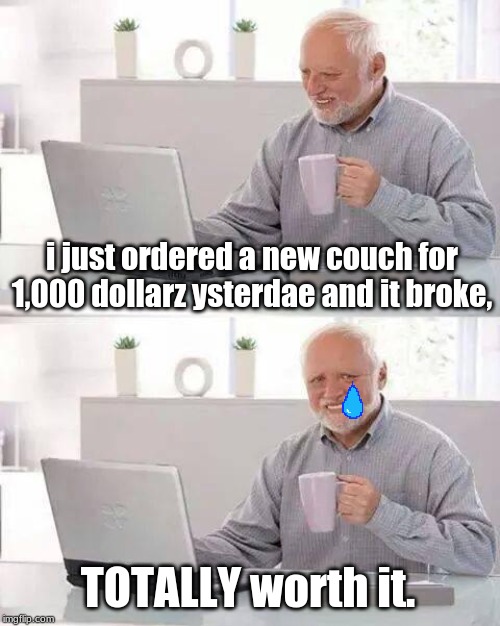 Hide the Pain Harold | i just ordered a new couch for 1,000 dollarz ysterdae and it broke, TOTALLY worth it. | image tagged in memes,hide the pain harold | made w/ Imgflip meme maker