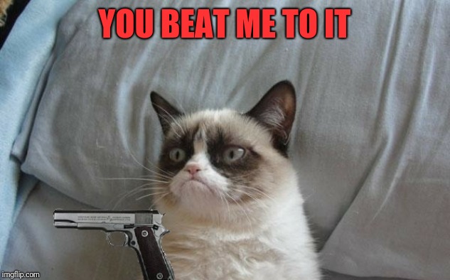 Grumpy cat gun | YOU BEAT ME TO IT | image tagged in grumpy cat gun | made w/ Imgflip meme maker