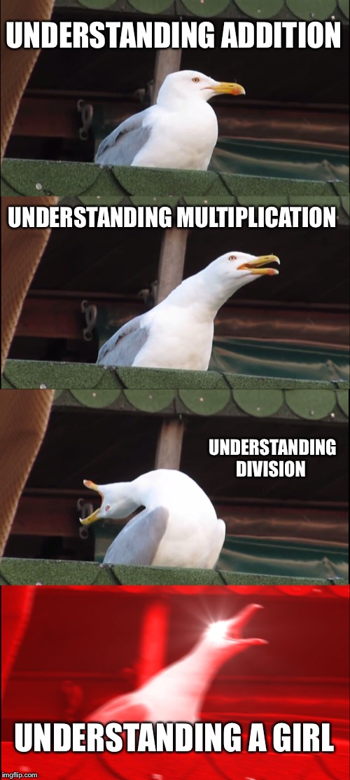 Inhaling Seagull | UNDERSTANDING ADDITION; UNDERSTANDING MULTIPLICATION; UNDERSTANDING DIVISION; UNDERSTANDING A GIRL | image tagged in memes,inhaling seagull | made w/ Imgflip meme maker