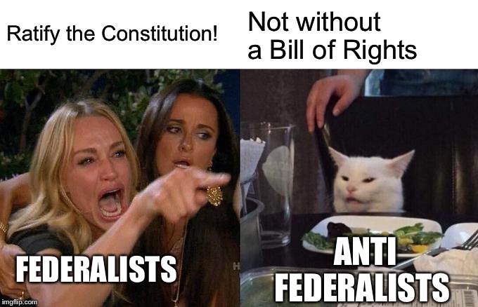 Woman Yelling At Cat | Ratify the Constitution! Not without a Bill of Rights; FEDERALISTS; ANTI FEDERALISTS | image tagged in memes,woman yelling at cat | made w/ Imgflip meme maker