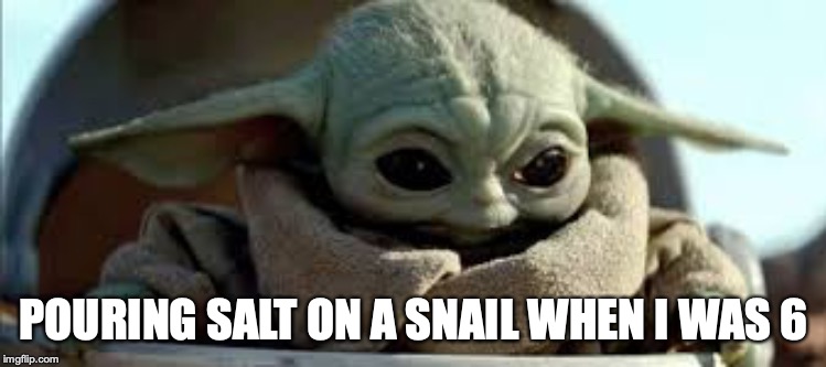 POURING SALT ON A SNAIL WHEN I WAS 6 | image tagged in baby yoda | made w/ Imgflip meme maker