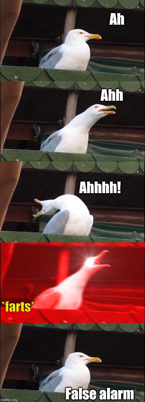 Ah; Ahh; Ahhhh! *farts*; False alarm | image tagged in memes,inhaling seagull | made w/ Imgflip meme maker