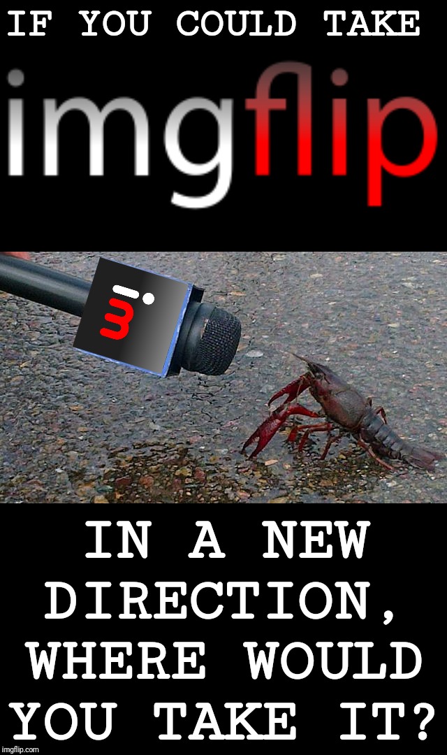 Imgflip made a lot of changes to the site over the past year or so. Any suggestions on what you would like to see next? | IF YOU COULD TAKE IN A NEW DIRECTION, WHERE WOULD YOU TAKE IT? | image tagged in imgflip users,imgflip mods,imgflip community,upgrade,interview about unicorns | made w/ Imgflip meme maker