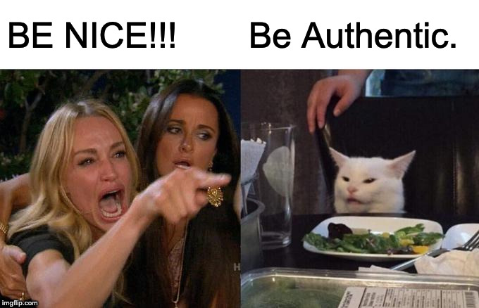 Woman Yelling At Cat | BE NICE!!! Be Authentic. | image tagged in memes,woman yelling at cat | made w/ Imgflip meme maker