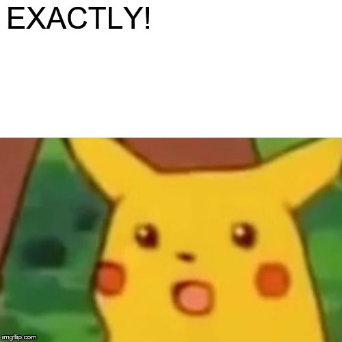 Surprised Pikachu Meme | EXACTLY! | image tagged in memes,surprised pikachu | made w/ Imgflip meme maker