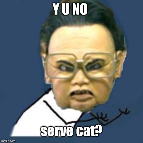 Kim Jong Il Y U No Meme | Y U NO serve cat? | image tagged in memes,kim jong il y u no | made w/ Imgflip meme maker