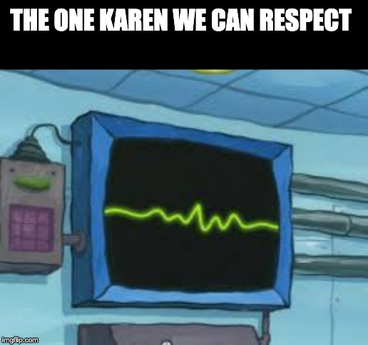 yooo karen | THE ONE KAREN WE CAN RESPECT | image tagged in yooo karen | made w/ Imgflip meme maker