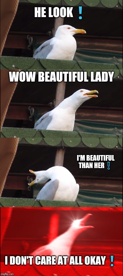 Inhaling Seagull Meme | HE LOOK❗; WOW BEAUTIFUL LADY; I'M BEAUTIFUL THAN HER❕; I DON'T CARE AT ALL OKAY❗ | image tagged in memes,inhaling seagull | made w/ Imgflip meme maker