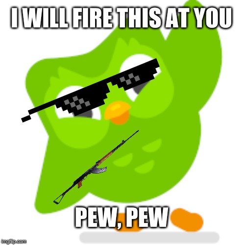 Duolingo raid | I WILL FIRE THIS AT YOU; PEW, PEW | image tagged in raid | made w/ Imgflip meme maker