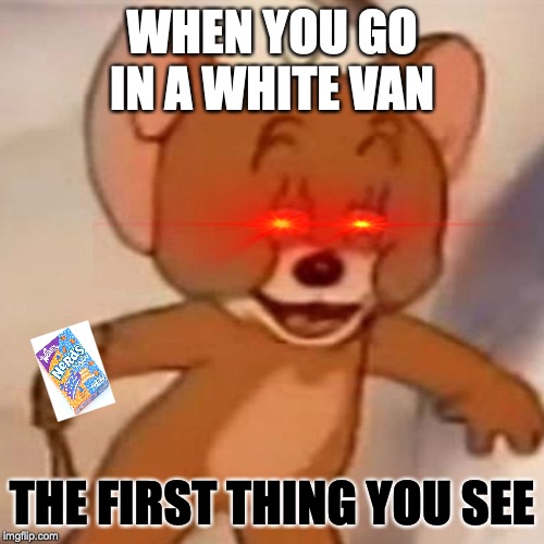Polish Jerry | WHEN YOU GO IN A WHITE VAN; THE FIRST THING YOU SEE | image tagged in polish jerry | made w/ Imgflip meme maker