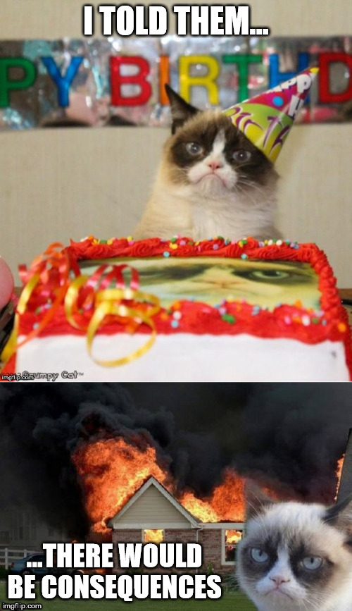 Grumpy Cat Tried to Warn Them | I TOLD THEM... ...THERE WOULD BE CONSEQUENCES | image tagged in grumpy cat consequences,grumpy cat,grumpy cat birthday,cat | made w/ Imgflip meme maker