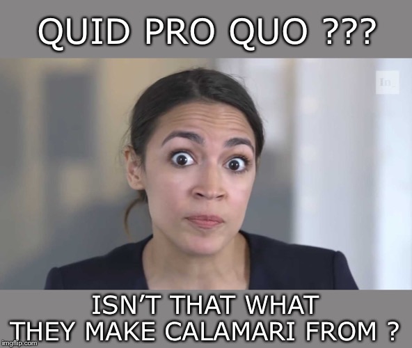 AOC Stumped | QUID PRO QUO ??? ISN’T THAT WHAT THEY MAKE CALAMARI FROM ? | image tagged in aoc stumped | made w/ Imgflip meme maker