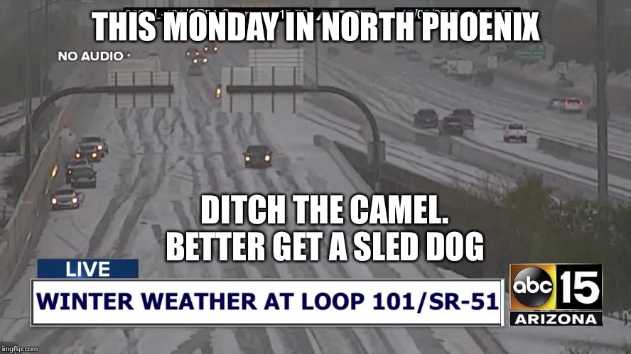 THIS MONDAY IN NORTH PHOENIX DITCH THE CAMEL.
BETTER GET A SLED DOG | made w/ Imgflip meme maker