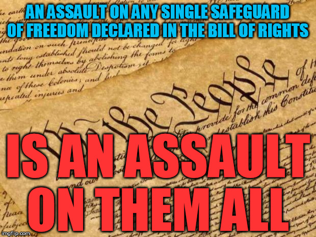Slice and dice till the cows come home, it still remains the truth | AN ASSAULT ON ANY SINGLE SAFEGUARD OF FREEDOM DECLARED IN THE BILL OF RIGHTS; IS AN ASSAULT ON THEM ALL | image tagged in constitution,second amendment,bill of rights,freedom,social justice warrior | made w/ Imgflip meme maker