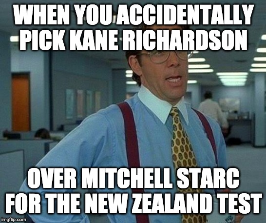 That Would Be Great | WHEN YOU ACCIDENTALLY PICK KANE RICHARDSON; OVER MITCHELL STARC FOR THE NEW ZEALAND TEST | image tagged in memes,that would be great | made w/ Imgflip meme maker